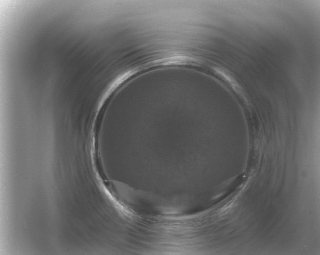 X0000066011418200603101545