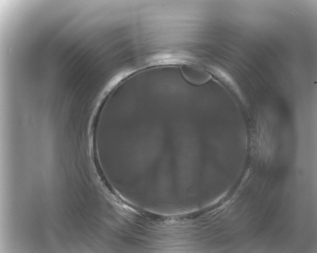 X0000066011419200603101545