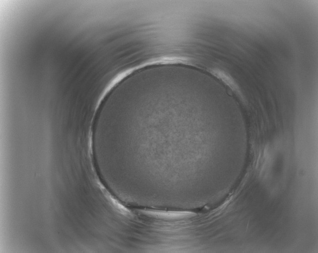 X0000066011420200603101545