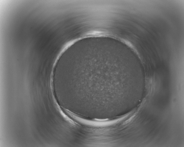 X0000066011421200603101545