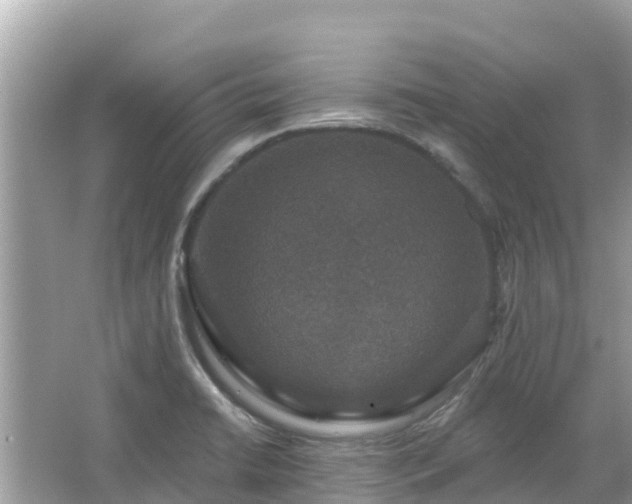 X0000066011422200603101545