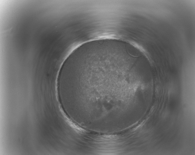 X0000066011423200603101545