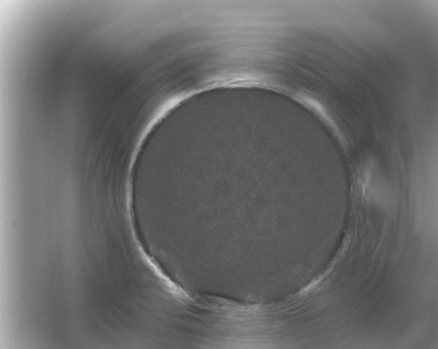 X0000066011424200603101545