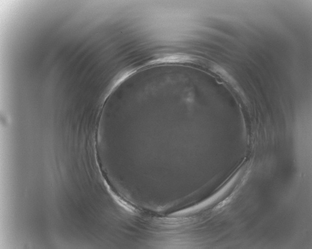 X0000066011425200603101545