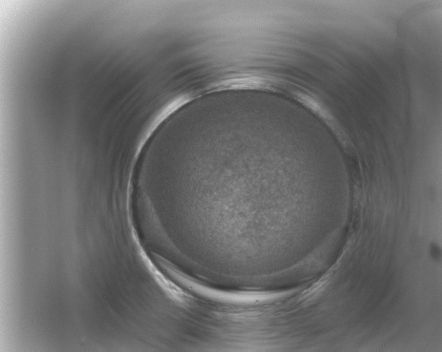 X0000066011426200603101545