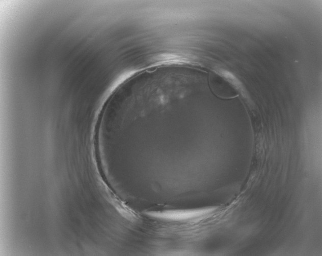 X0000066011427200603101545