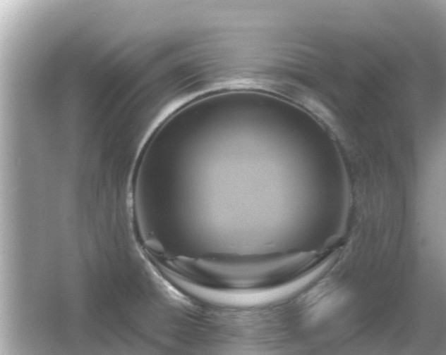 X0000066011428200603101545