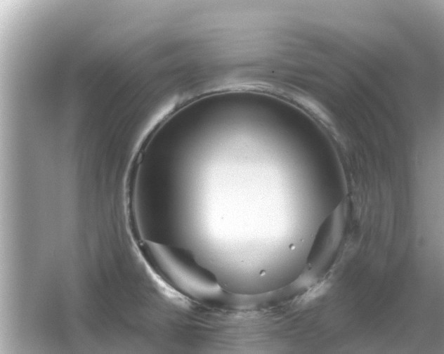 X0000066011430200603101545