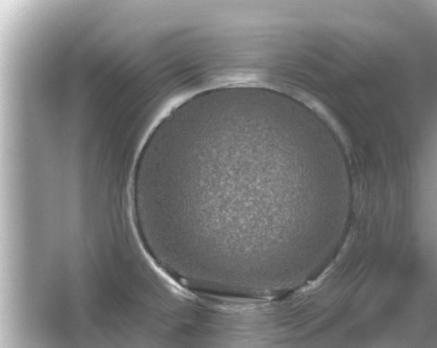 X0000066011432200603101545