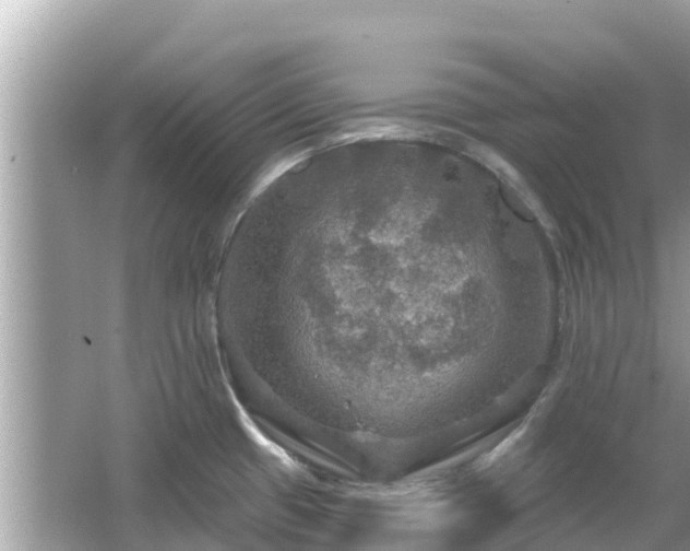 X0000066011433200603101545