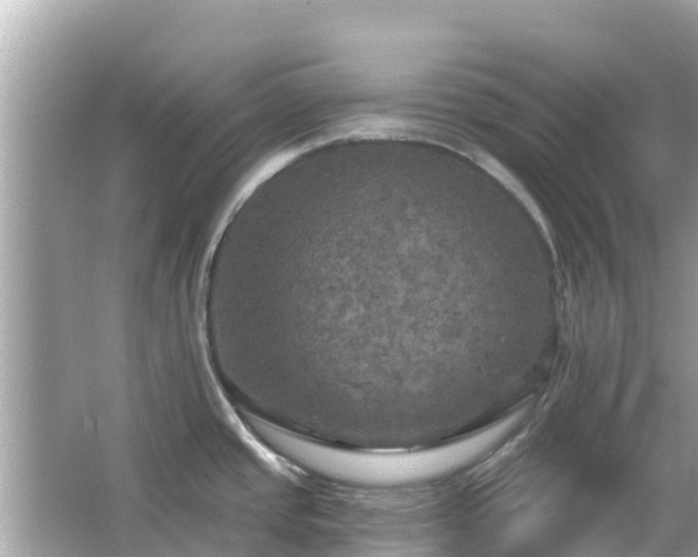 X0000066011437200603101545