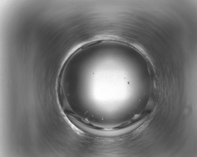 X0000066011438200603101545