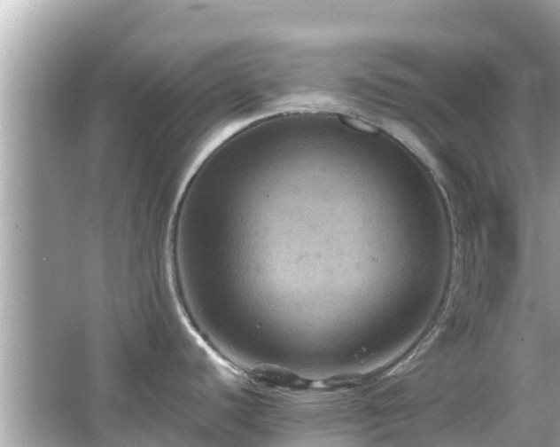 X0000066011440200603101545