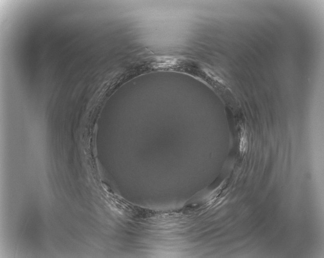 X0000066011441200603101544