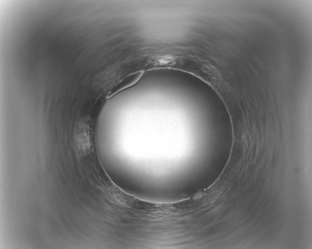 X0000066011442200603101544