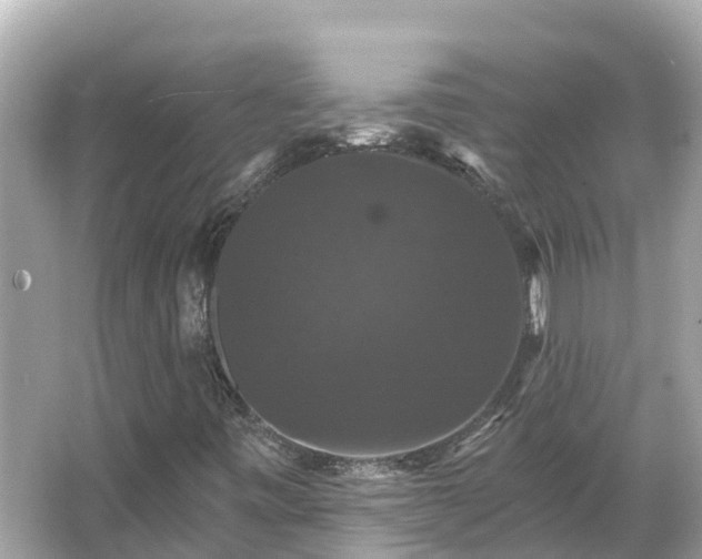 X0000066011443200603101544