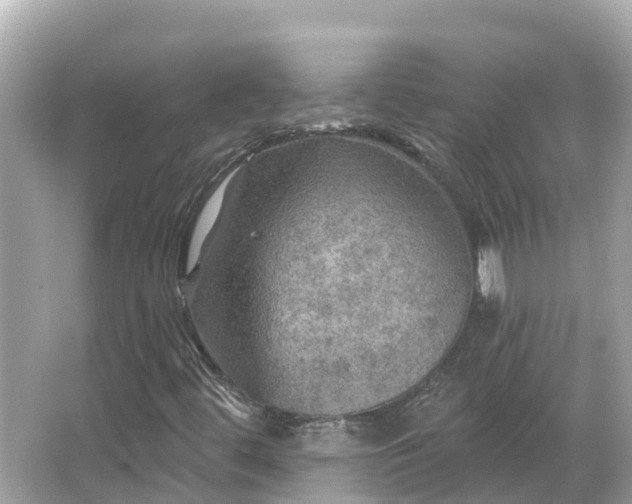 X0000066011444200603101544