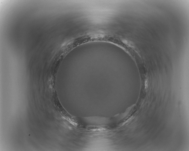 X0000066011445200603101544