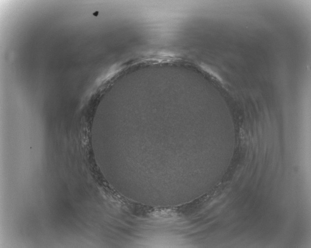 X0000066011447200603101544