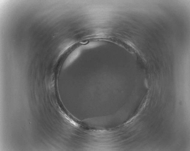 X0000066011450200603101544