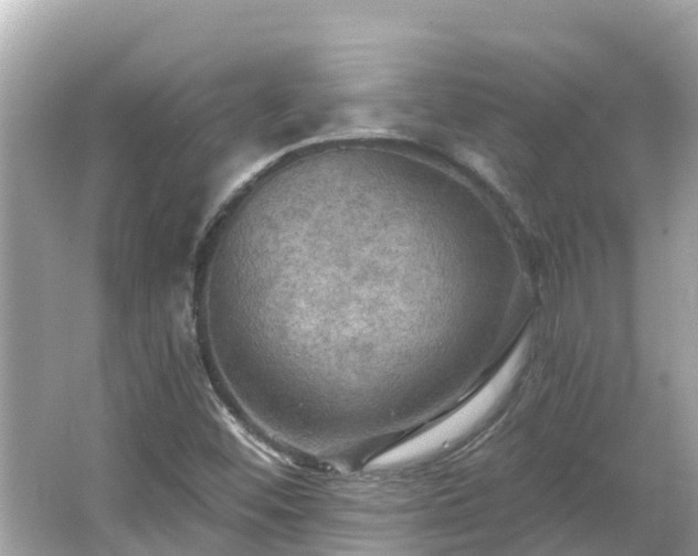 X0000066011452200603101544