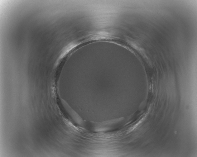 X0000066011453200603101544