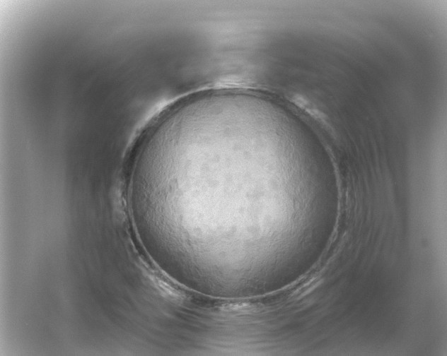 X0000066011454200603101544