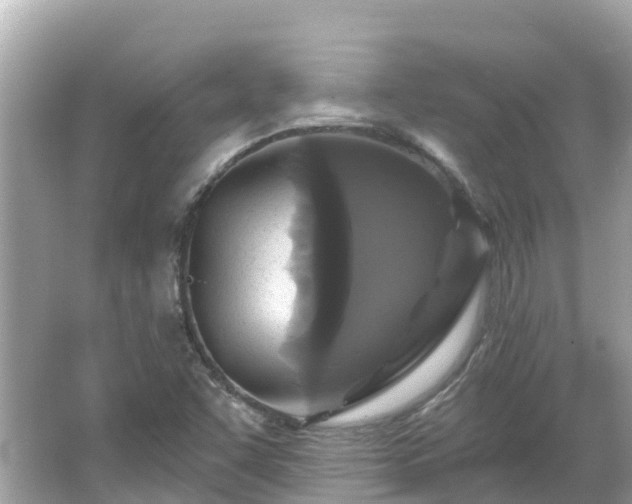 X0000066011455200603101544