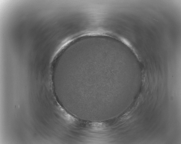 X0000066011456200603101544