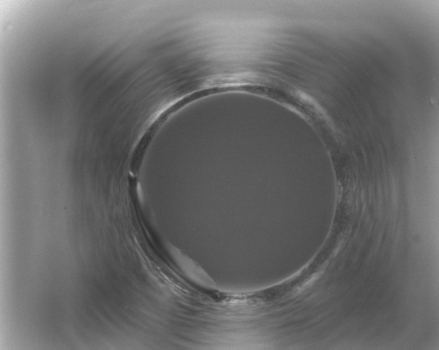 X0000066011457200603101544