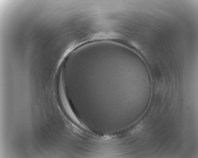 X0000066011459200603101544