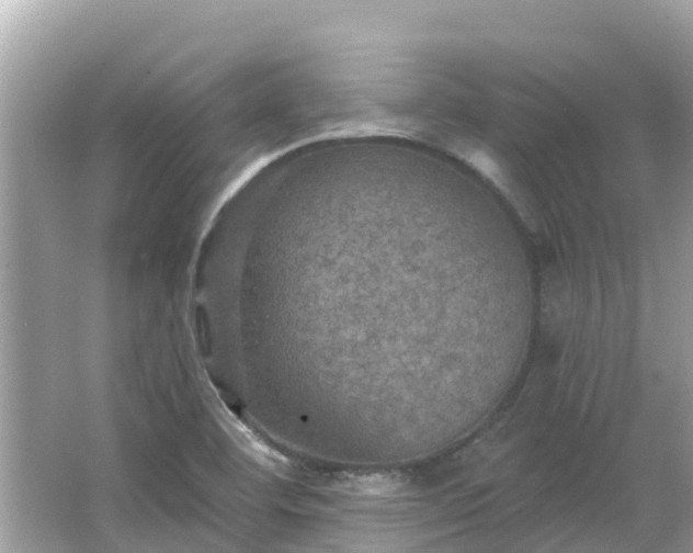 X0000066011460200603101544