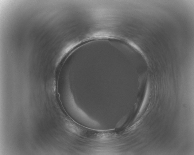 X0000066011461200603101544