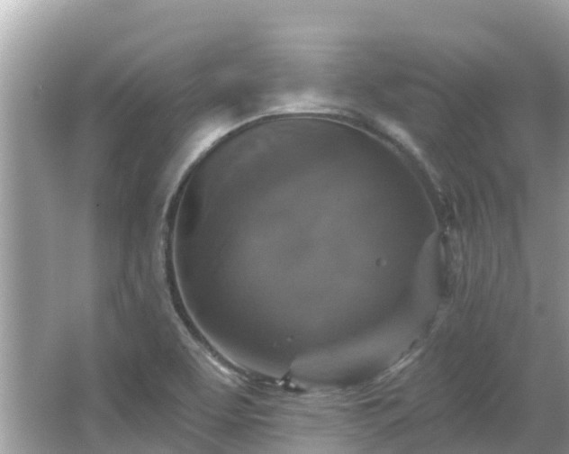 X0000066011463200603101544