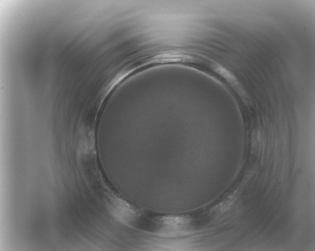 X0000066011465200603101544