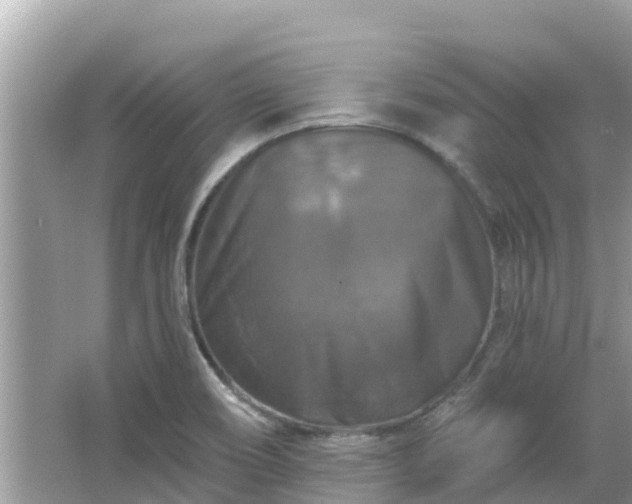 X0000066011466200603101544