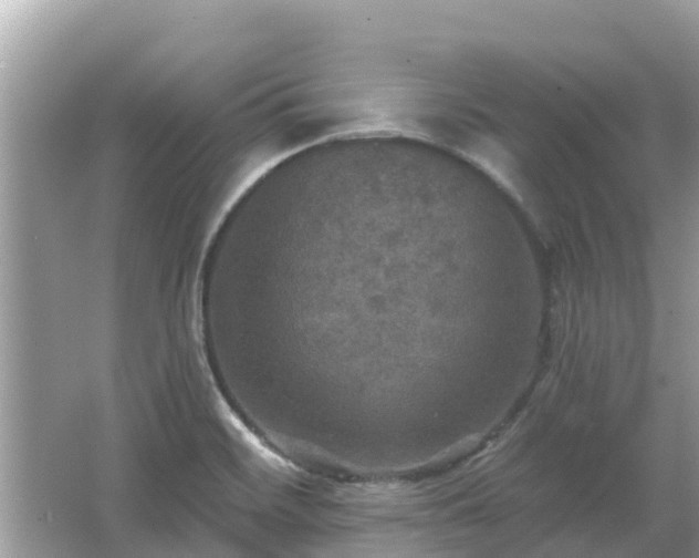 X0000066011468200603101544