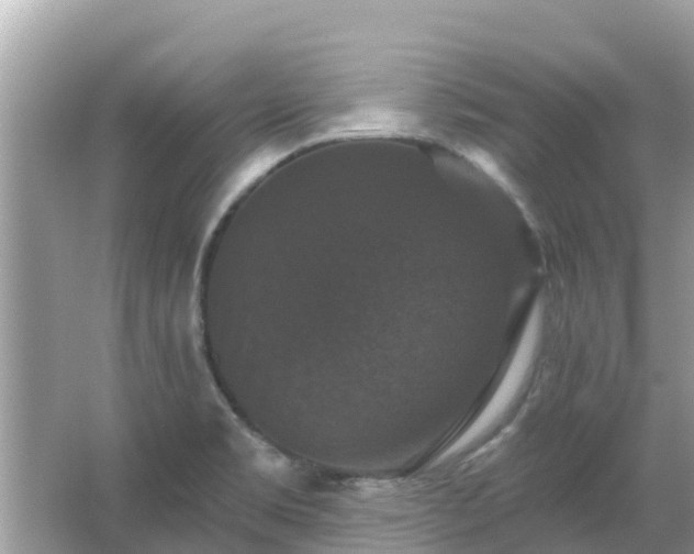 X0000066011469200603101544