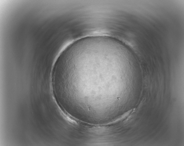 X0000066011470200603101544