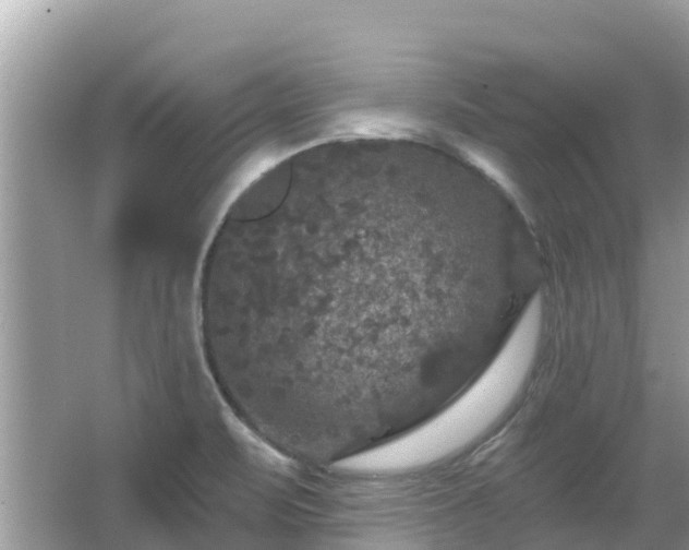 X0000066011471200603101544