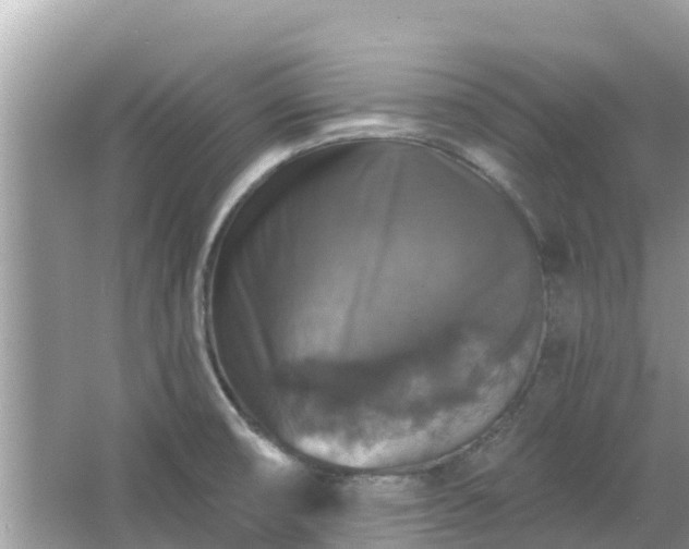 X0000066011474200603101544