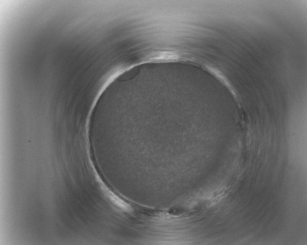 X0000066011475200603101544