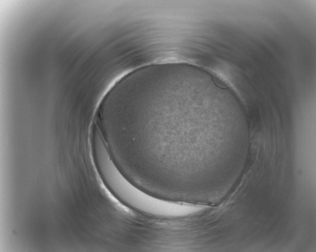 X0000066011476200603101544