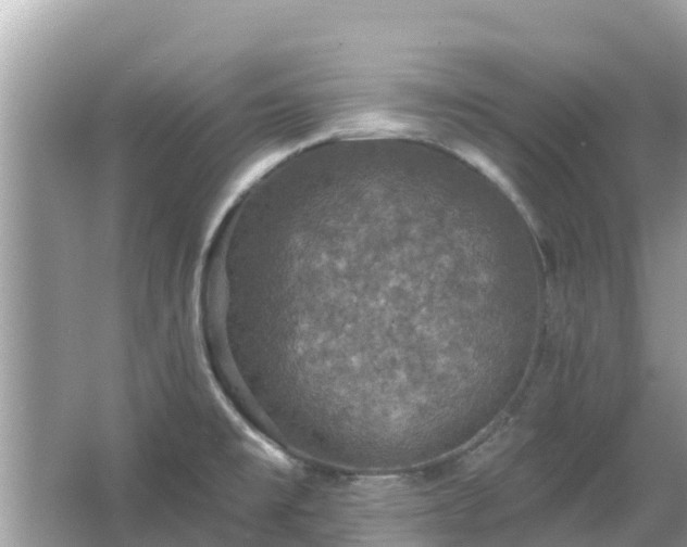 X0000066011477200603101544