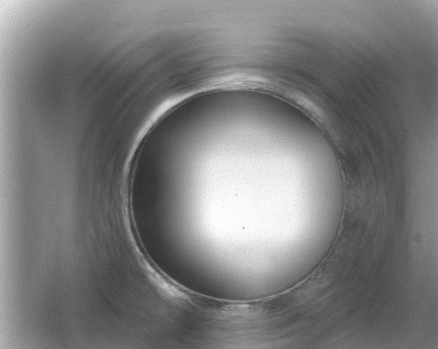 X0000066011478200603101544