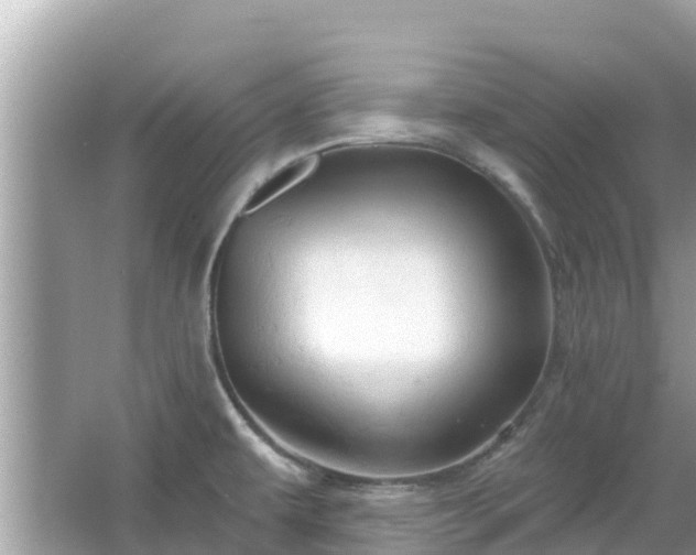 X0000066011479200603101544