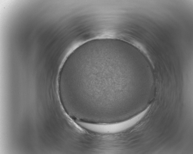 X0000066011480200603101544