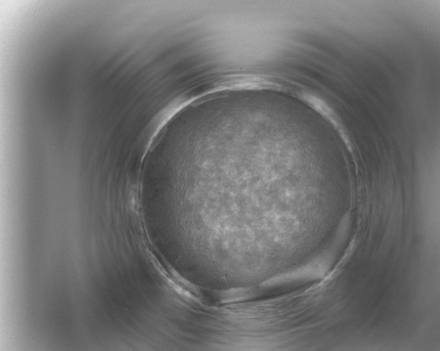 X0000066011481200603101544