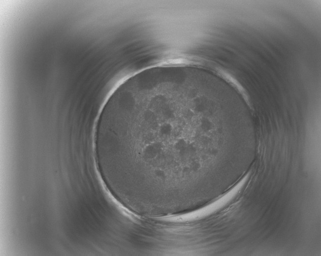 X0000066011483200603101544