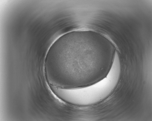 X0000066011484200603101544